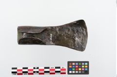 Foto von Eisendechsel (NHMW-PRAE-024328)